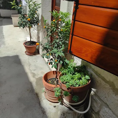 Old Town By Ivo 公寓 特罗吉尔