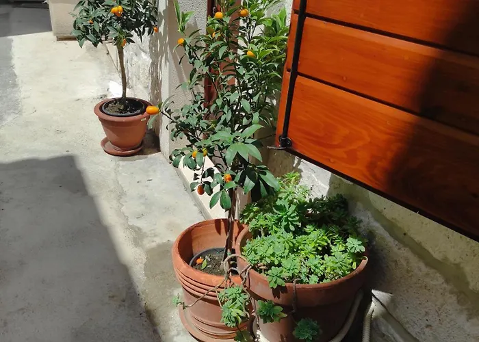 Old Town By Ivo Daire Trogir